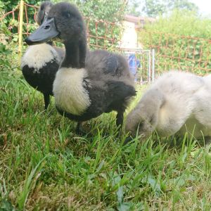 WhatsApp Image 2021-07-19 at 17.01.58.jpeg