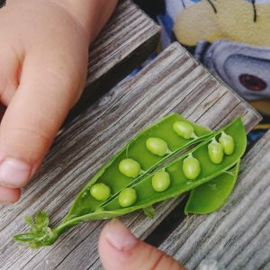 WhatsApp Image 2021-07-19 at 17.01.59.jpeg