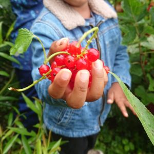 WhatsApp Image 2021-07-19 at 17.01.57.jpeg